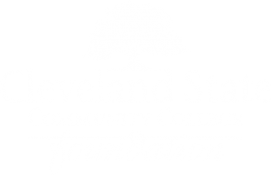 cscc-foundation-logo-white